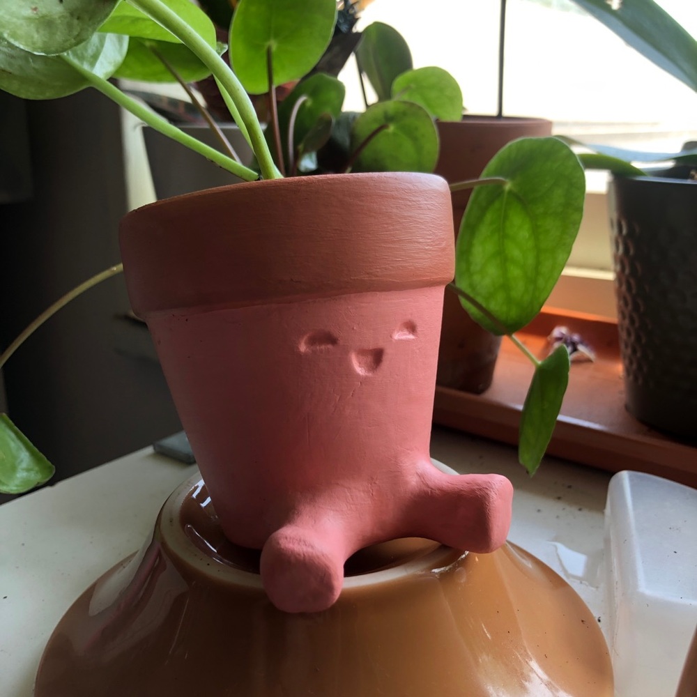 CUSTOM Terracotta Pot
